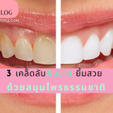 3 เคล็ดลับฟันขาว ยิ้มสวย ด้วยสมุนไพรธรรมชาติ ฟันเหลือง ฟันขาว วิธีดูแลฟัน ฟันสวยไร้หินปูน รากของฟันแข็งแรง แปรงฟันด้วยอะไรดี แปรงฟันขาว